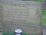 image of grave number 316137